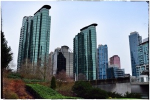 20140110-232556.jpg