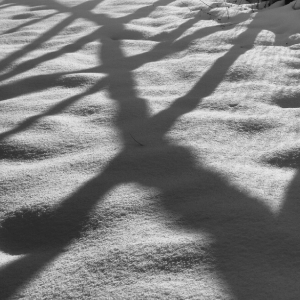 2016-02: Endlich Schnee!